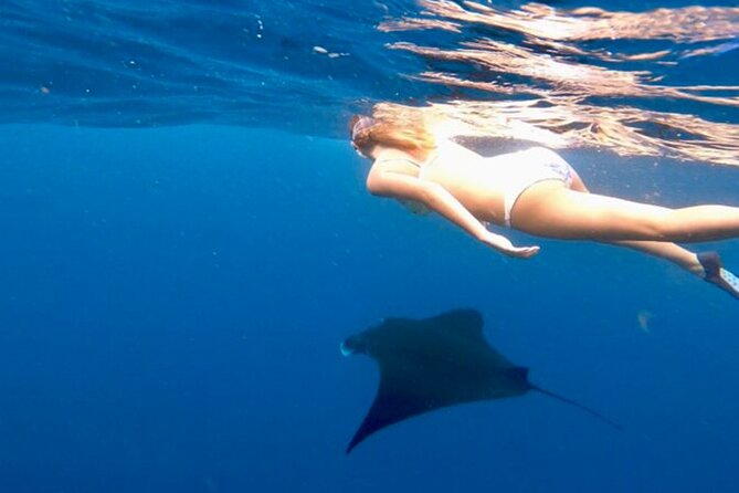 Private All Inclusive Nusa Penida Snorkeling and Tour - The 6:00 am start and Sanur Harbour