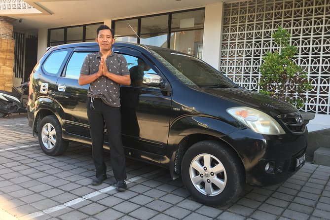 Private Bali Car Charter with Driver up to 6 People - Photo museums and lighter sightseeing stops