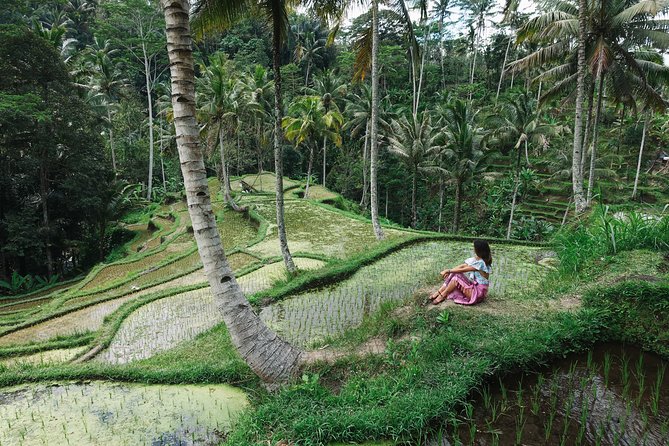 Private Bali Car Charter with Driver up to 6 People - Planning the 10-hour day without rushing