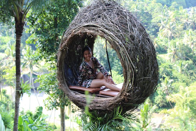Private Bali Car Charter with Driver up to 6 People - Choosing between a south Bali day and an Ubud day