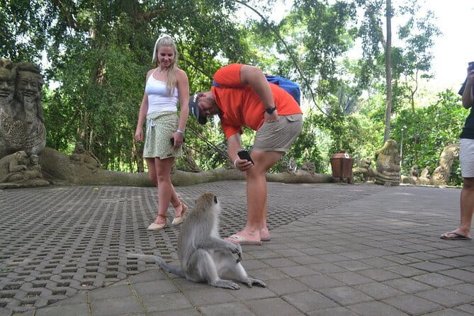 Private Bali Customized Tours - Ubud Art Market and the working side of Bali