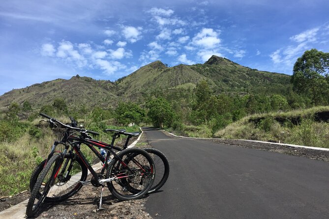 Private Bali Day Tour - Tegalalang - Kintamani and Temple Tour - Kantolampo Waterfall for the final stop