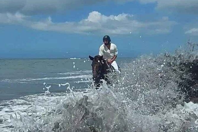 Private Bali Horse riding at saba beach - Horses, guides, and the beginner experience