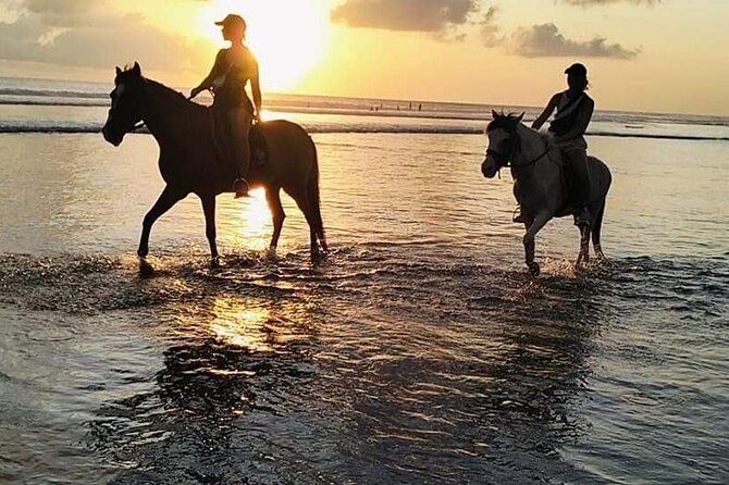 Private Bali Horse riding at saba beach - Safety and comfort on the sand