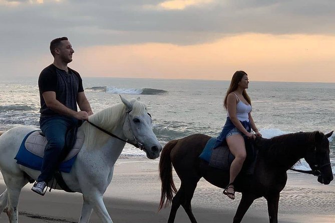 Private Bali Horse Riding In Seminyak Beach - How beginner-friendly is it?
