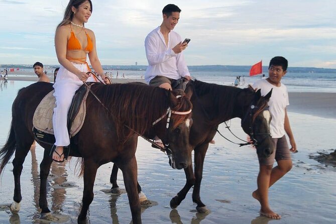 Private Bali Horse Riding In Seminyak Beach - Horse care and animal welfare