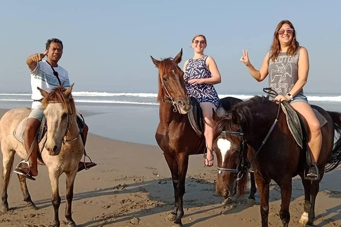 Private Bali Horse Riding In Seminyak Beach - Price and what you receive for $42.99