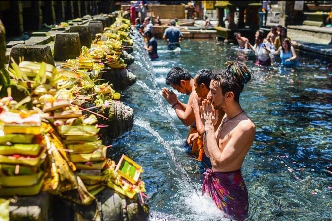 Private Bali Tour - All Inclusive - Sacred Monkey Forest: one hour among macaques and temples