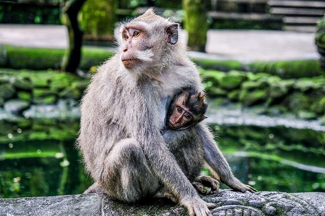 Private Bali Tour - All Inclusive - The $29 value: excellent, with one important exception