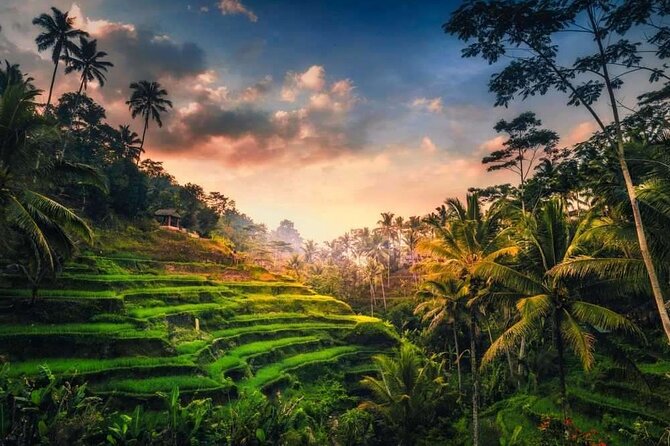 Private Bali Tour with Lisensed Bali Driver - Tirta Empul Temple and Bali’s water traditions
