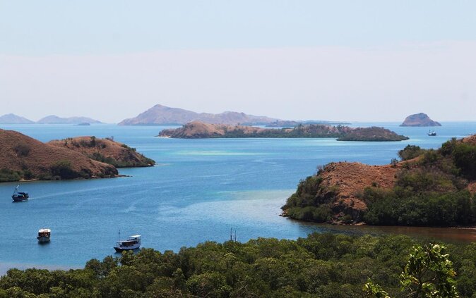 Private boat trip Komodo 2 or more person for 3 days 2 nights, Kelor, Rinca... - Day two: Padar’s famous view and Komodo dragons