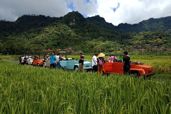 Private Borobudur Village Trip By Volkswagen Safari - Who will enjoy this Borobudur outing most?