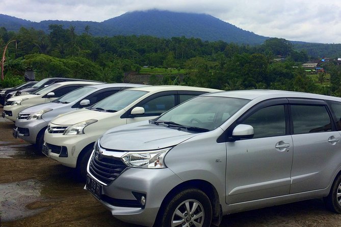 Private Car Charter - Explore Best of Bali - The route has more choices than one day can handle