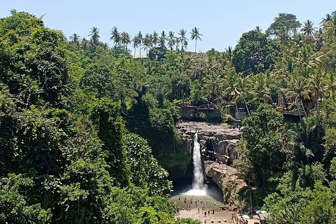 Private Car Charter: Hire Car with English Speaking Driver - A private Bali day built around your plans