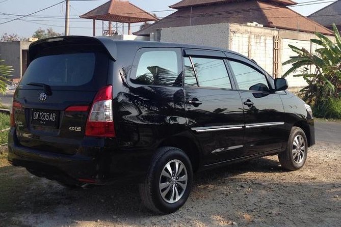 Private Car Charter in Bali with an English-speaking Driver - Ubud Traditional Art Market and inland routes