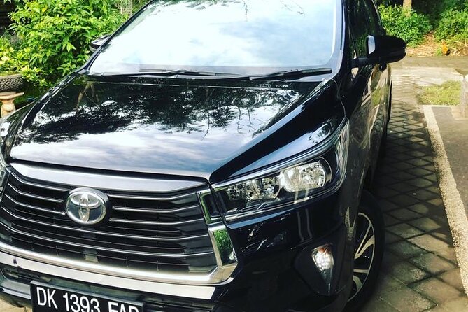 Private Car Charter in Bali with an English-speaking Driver - Vehicle comfort, group size, and road time