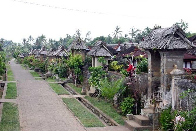 Private Chartered Car to Bali Temples With Besakih Temple - Tirta Empul and the holy spring ritual