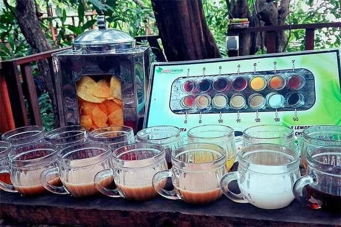 Private Chartered Car to Bali Temples With Besakih Temple - The coffee plantation and Goa Gajah question