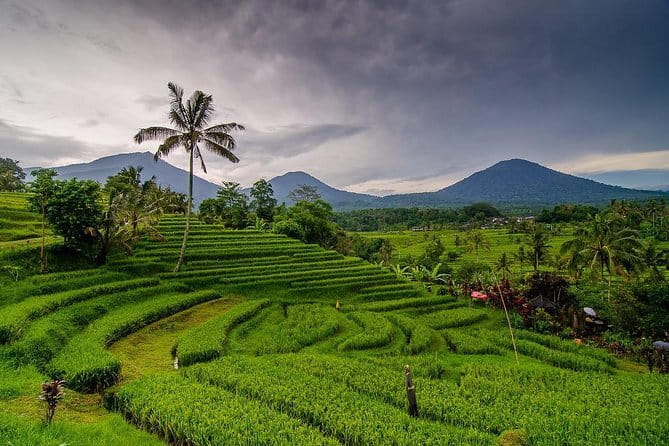 Private Chartered Car to Bali Temples With Besakih Temple - What the $60 group price really buys