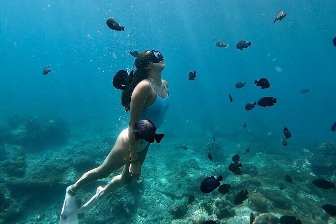 Private Customized Tour with Local Guide - Why the custom format matters in Bali