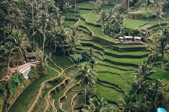 Private Customized Tour with Local Guide - Tegenungan Waterfall for scenery and swimming