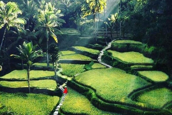 Private Customized Tour with Local Guide - Choosing a route that fits 10 hours