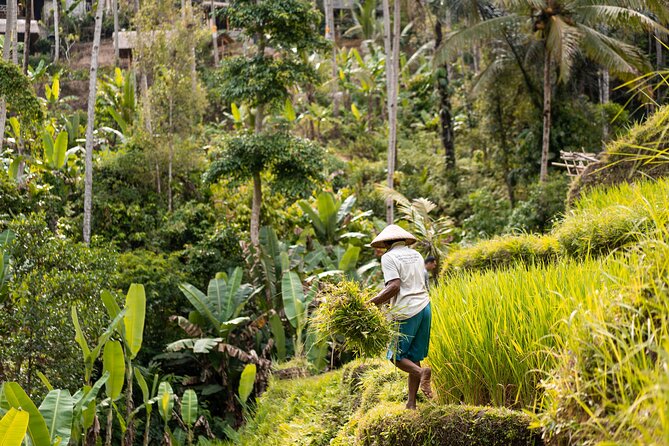 Private Customized Trip to Ubud - Puseh Batuan Temple and Bali’s carved stonework