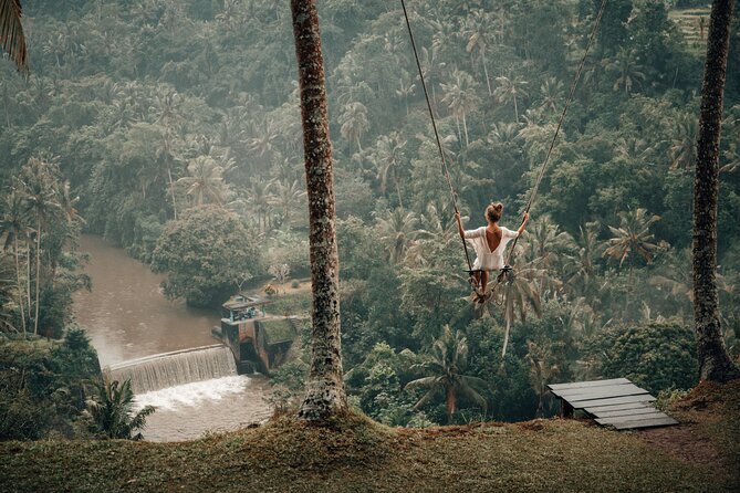 Private Customized Trip to Ubud - What the private vehicle and guide add