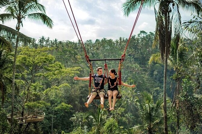 Private Day Tour In Ubud With Jungle Swing All Inclusive - Key Things To Know Before Booking