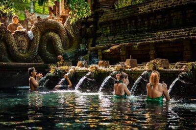 Private Day Tour: The Highlight of Ubud