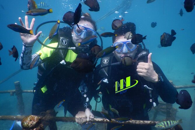 Private Diving Experience in Nusa Dua with Hotel Pick Up - Key points to know before booking