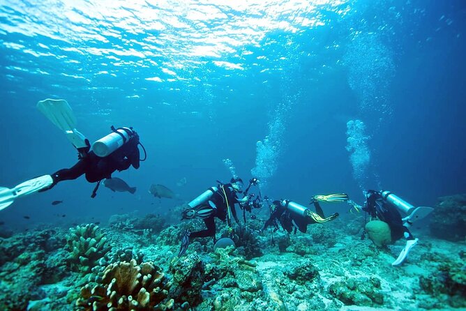 Private Diving Experience in Nusa Dua with Hotel Pick Up - What the $59 price really covers