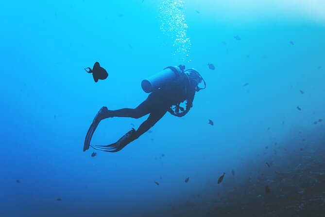 Private Diving Experience in Nusa Dua with Hotel Pick Up - Health and fitness rules you should take seriously