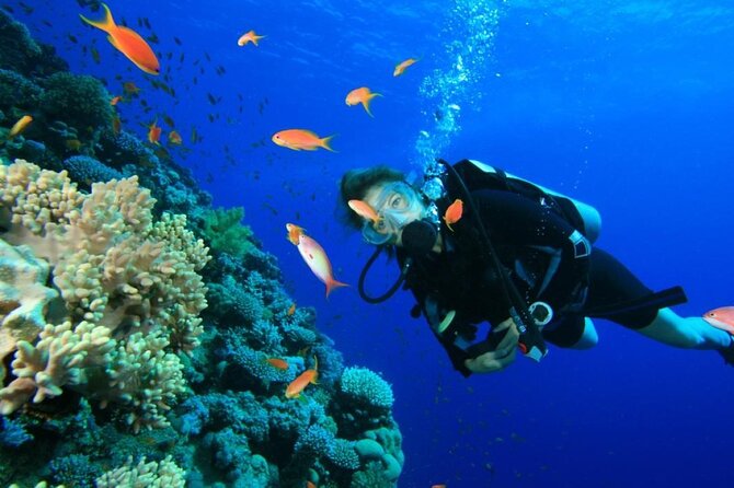 Private Diving Experience in Nusa Dua with Hotel Pick Up - Arriving at Nusa Dua and Tanjung Benoa