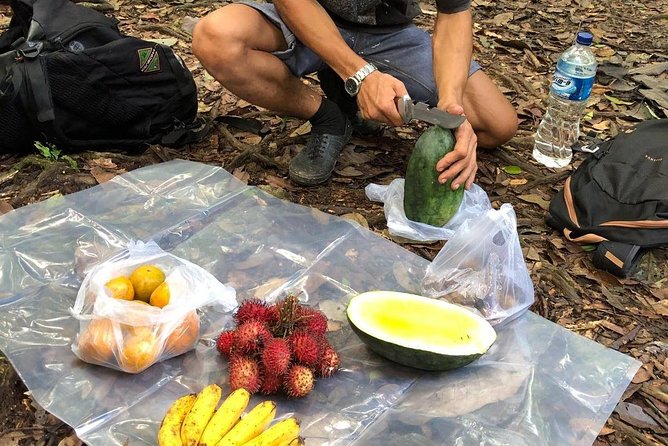 Private Full-Day Bukit Lawang Trekking Tour From Medan - Walking the Bukit Lawang jungle trails