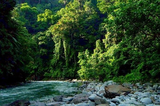 Private Full-Day Bukit Lawang Trekking Tour From Medan - Returning to Medan after a demanding day