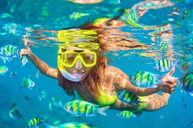 Private Full-Day Lovina Dolphin Watching and Snorkeling Boat Tour - Snorkeling After the Dolphin Watch