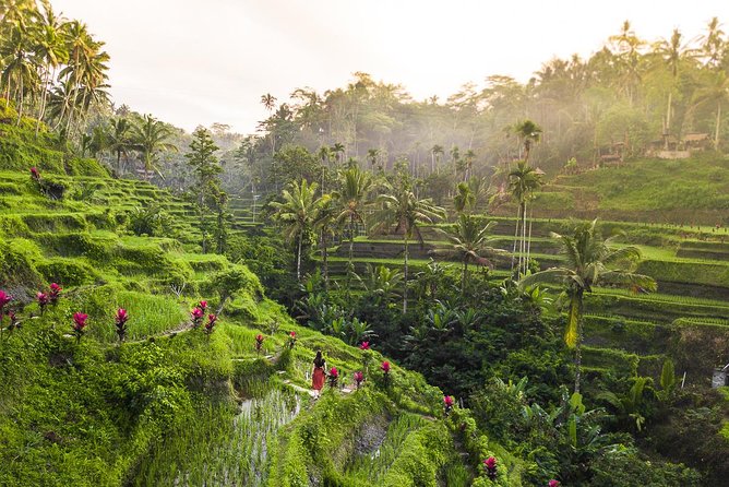 Private Full-Day Tour: Balinese Temples and Rice Terraces - Tirta Empul: decide if the blessing is for you