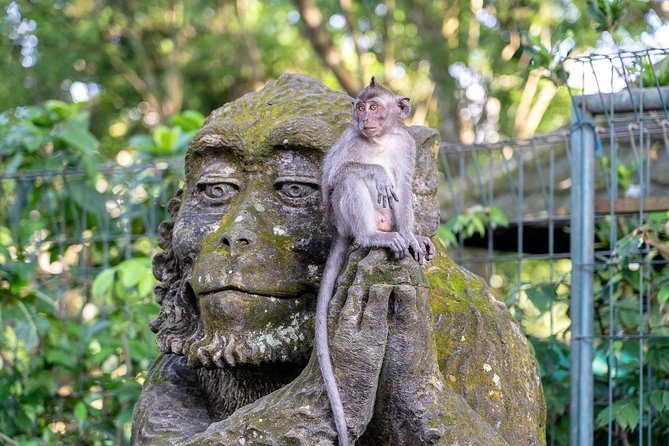 Private Full-Day Tour: Balinese Temples and Rice Terraces - The guide makes the difference