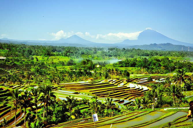 Private Full-Day Tour: Discover The Best of Bali Destination - Tanah Lot: finishing beside the sea