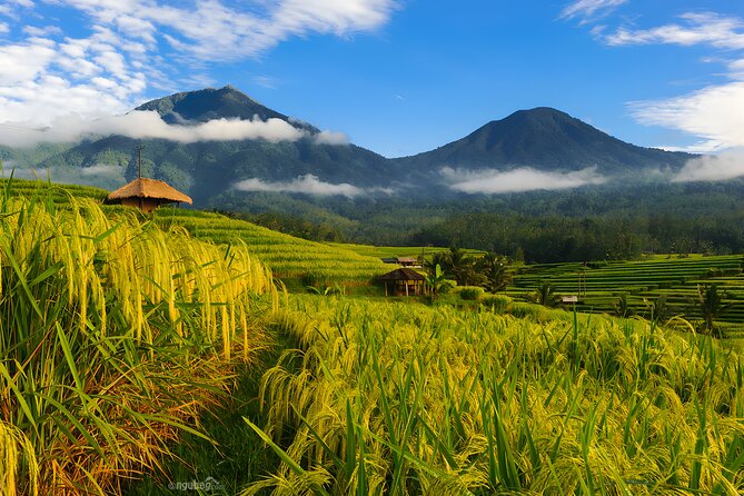 Private Full-Day Tour: Discover The Best of Bali Destination - Tamblingan and Buyan: Bali’s cool farming country