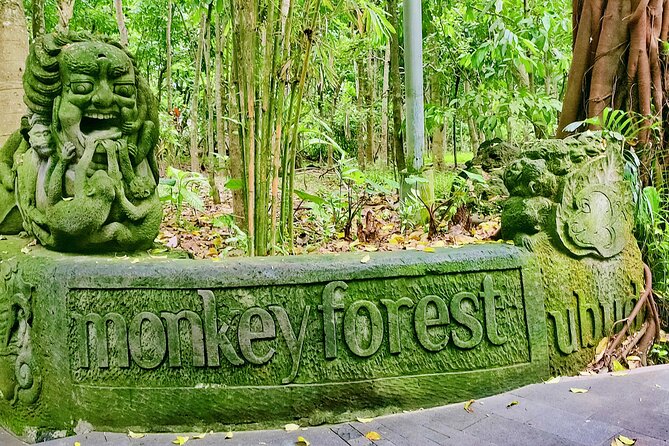 Private Full-Day Tour in Bali & FREE WIFI - What this private Bali day really offers