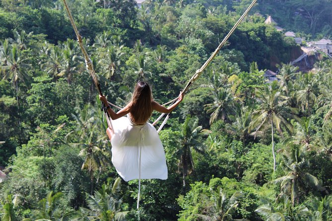 Private Full Day Tour to Ubud Highlights with Giant Swing - Tegalalang Rice Terrace: a short look at Bali’s farming scenery