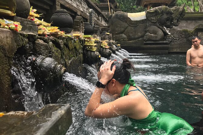 Private Full Day Tour to Ubud Highlights with Giant Swing - What the $73 price includes, and what it does not