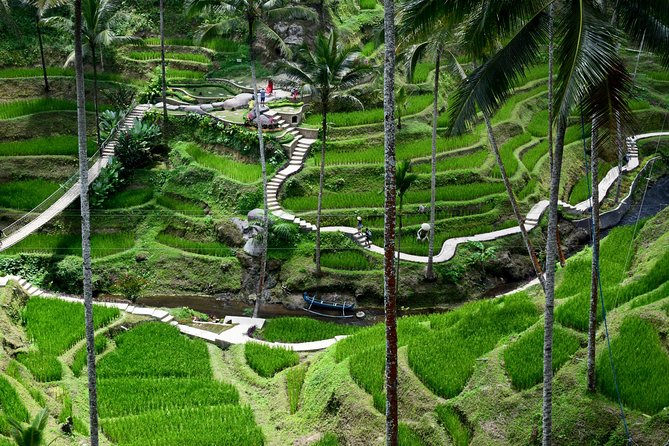 Private Full Day Tour to Ubud Highlights with Giant Swing - Who will enjoy this tour most?