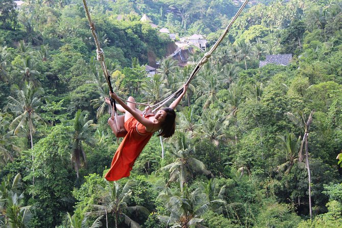 Private Full Day Tour to Ubud Highlights with Giant Swing - Picheaven Bali Swing: two hours of photo stops