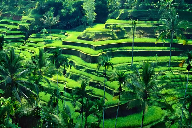 Private Full-Day Tour: Ubud and Uluwatu Temple Trip - Uluwatu Temple is the visual high point