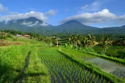Private Full-Day Tour: Ulun Danu Beratan Temple, Jatiluwih and Tanah Lot Temple