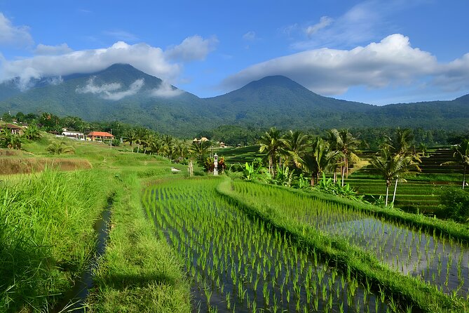 Private Full-Day Tour: Ulun Danu Beratan Temple, Jatiluwih and Tanah Lot Temple - Ulun Danu Beratan beside the mountain lake