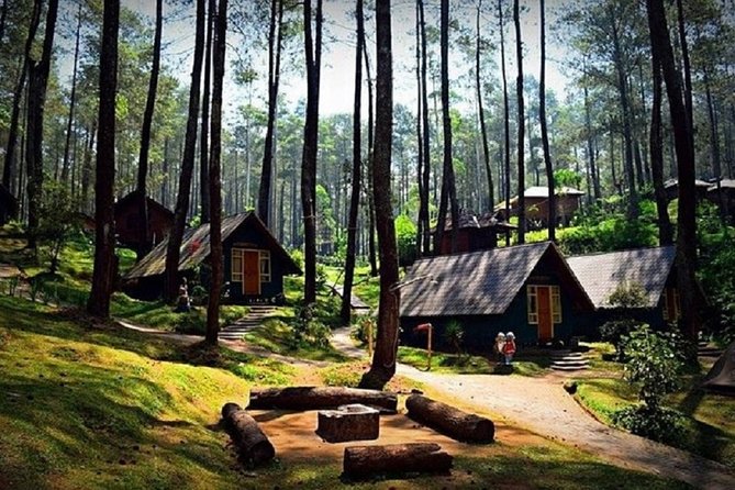 Private Guided to The White Crater & Surrounding Areas Tour - Who should book this Bandung experience?